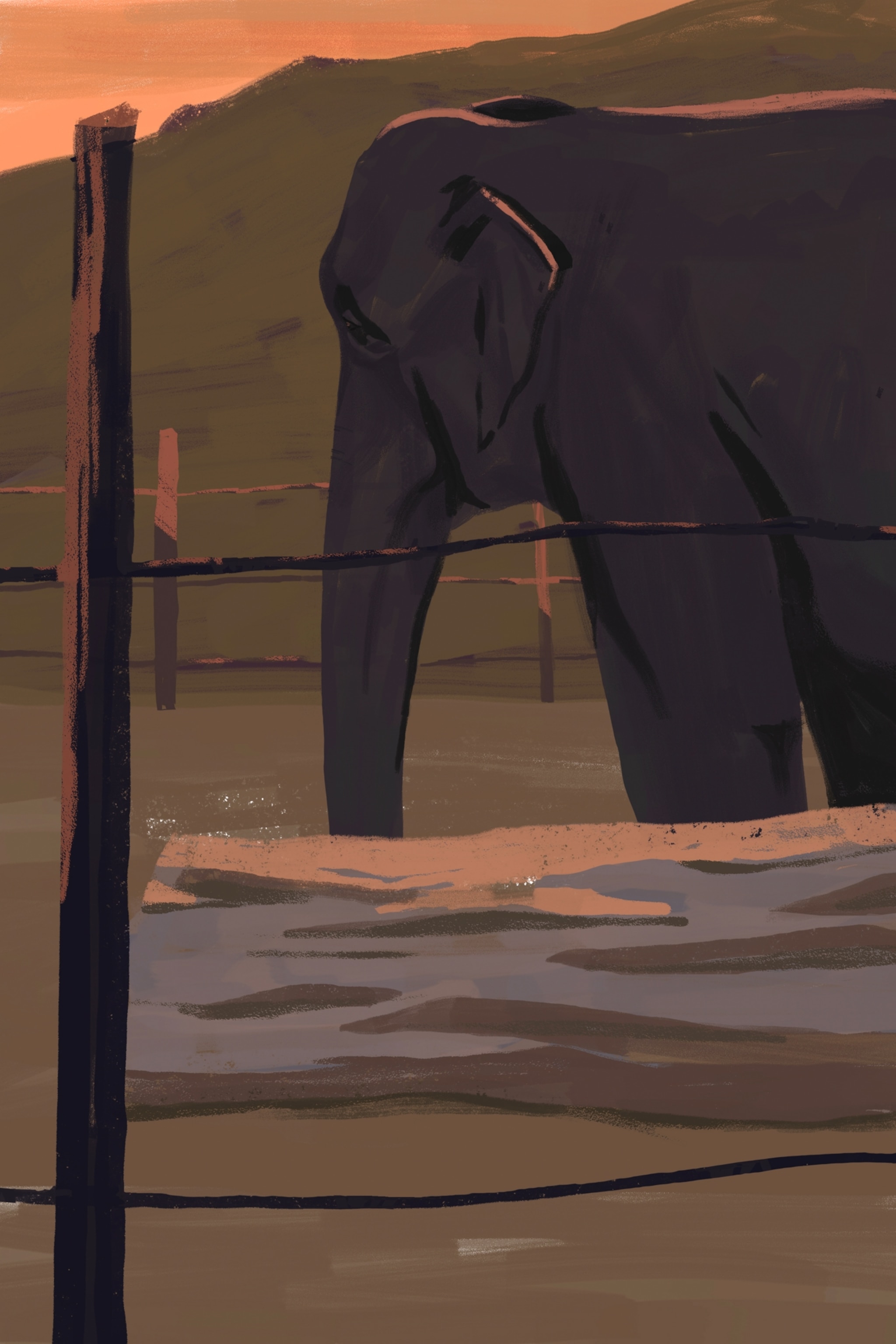 An illustration of an elephant in an enclosure